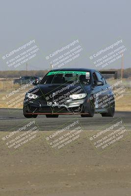 media/Nov-11-2023-GTA Finals Buttonwillow (Sat) [[117180e161]]/Group 2/Wall Paper Shots/